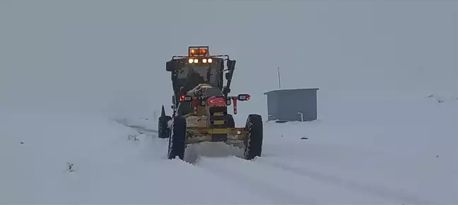 Afyonkarahisar'da Kar Yağışı Etkili Oldu