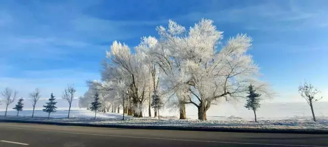 Erzurum'da Sibirya Soğukları Etkili Oluyor