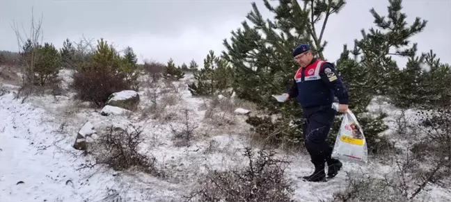 Yozgat'ta Jandarma, Yaban Hayvanları İçin Yem Takviyesi Yaptı