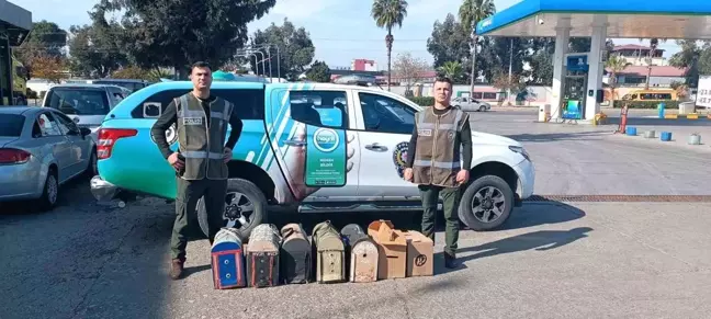 Mersin'de Horoz Dövüşü Operasyonu: Kumar ve Hayvan Hakları İhlali