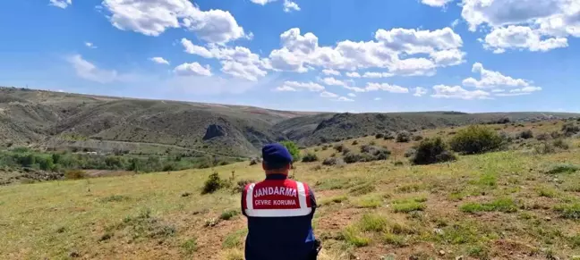 Yozgat'ta Biyokaçakçılık Denetimi ve Doğa Koruma Çalışmaları