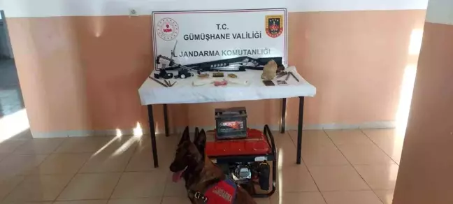 Gümüşhane'de Kaçak Kazı ve Kenevir Operasyonu
