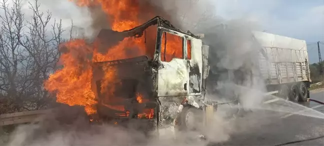 İznik'te seyir halindeki tırda çıkan yangın söndürüldü