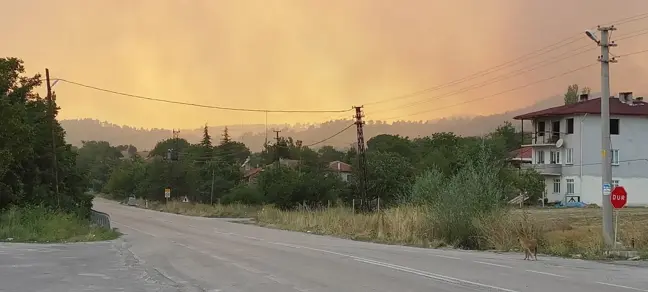 Göynük-Nallıhan Yolu Orman Yangını Nedeniyle Kapatıldı