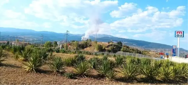 Çankırı'nın Ilgaz ilçesinde ormanlık alanda yangın çıktı