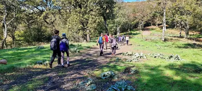 EDOSK Üyeleri Istranca Ormanlarında Doğa Yürüyüşü Gerçekleştirdi