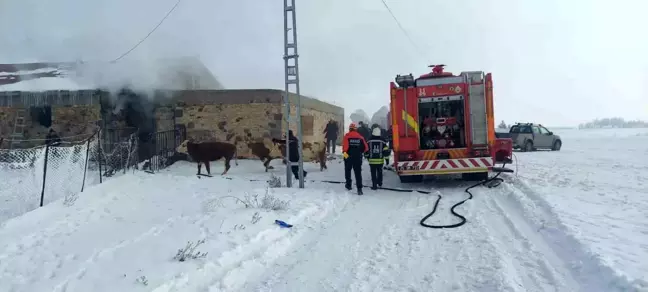 Erzurum'da Ahır Yangını Korkuttu