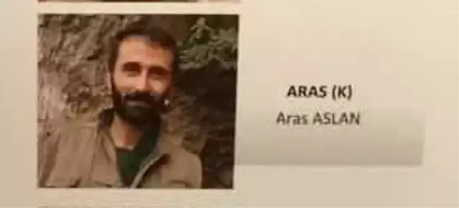 Giresun'da yakalanan PKK'lı Aras Aslan tutuklandı