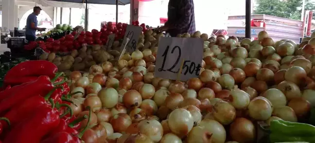 Yozgat'ta Soğan Hasadı Başladı