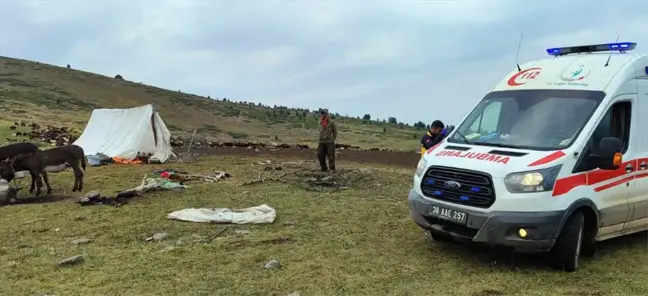 Kars'ın Sarıkamış ilçesinde yıldırım düştü: İki çoban hafif yaralandı