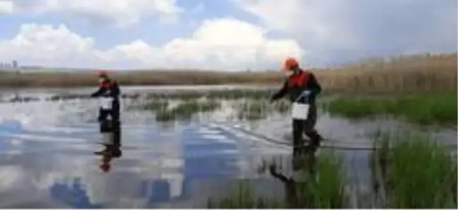 Başkent'te ilaçlama seferberliği