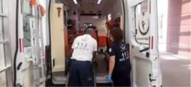 Otomobil şarampole devrildi: 2 yaralı