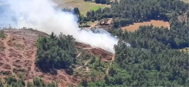 Son dakika haberi... Çanakkale'de orman yangını