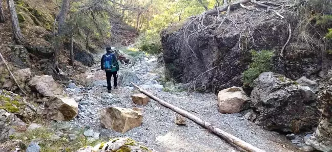 Kütahya'da kayıp zihinsel engelli yaşlı adam için arama çalışması başlatıldı