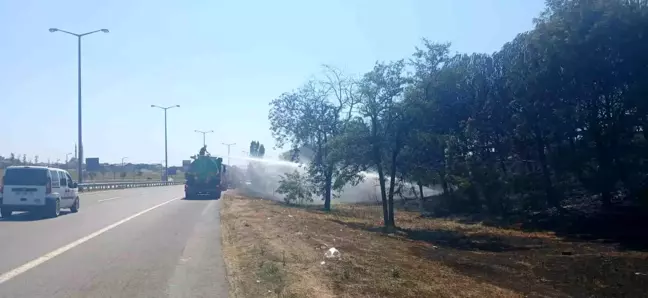 Beylikdüzü'nde çıkan yangında mahsur kalan kaplumbağa kurtarıldı