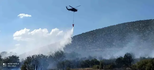 Isparta'da çıkan orman yangını hızlı müdahale ile söndürüldü