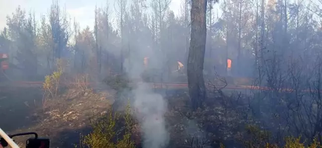 Çanakkale'de Ziraat Alanındaki Yangın Ormana Sıçradı