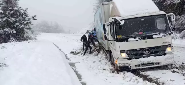 Yoldan çıkan kamyon, şarampolde kara saplandı