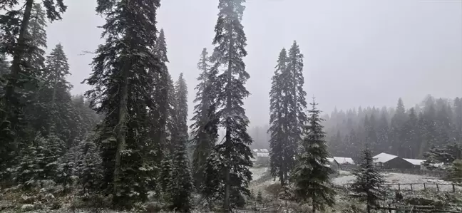 Düzce ve Bolu'nun Yüksek Kesimlerine Kar Yağdı