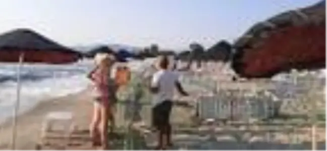 Yuvalama alanı için Kuşadası'nı seçen caretta caretta korumaya alındı