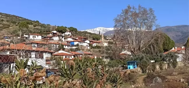 Yarıyıl tatili, Birgi'nin yüzünü güldürecek