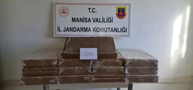 Manisa'da yapılan aramada 75 bin adet dolu makaron ele geçirildi