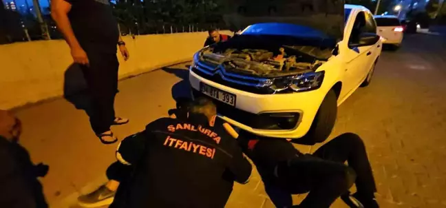 Şanlıurfa'da Otomobilin Motor Bölümüne Sıkışan Kedi İtfaiye Tarafından Kurtarıldı