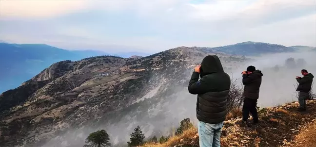 Ordu ve Tokat'ta Yaban Keçisi Popülasyonunda Artış Tespit Edildi