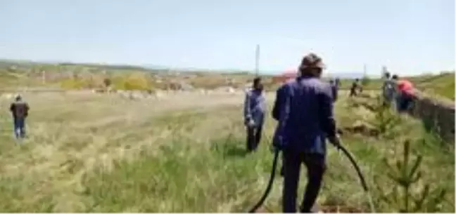 Akyaka Belediyesi'nde ağaçlandırma seferberliği