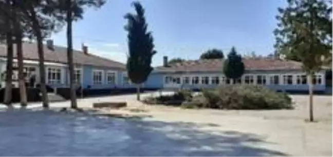 Son Dakika: Okul bahçesindeki çam ağaçlar kesildi