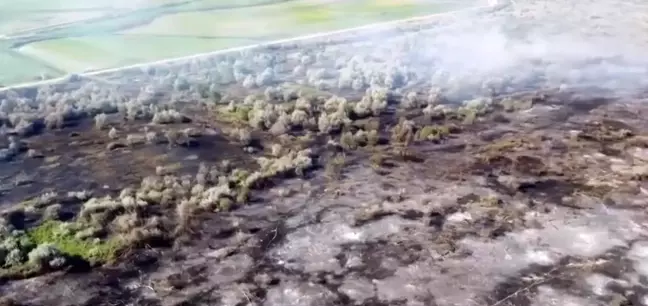 Çankırı'da çıkan yangında 80 dönüm mera arazisi küle döndü