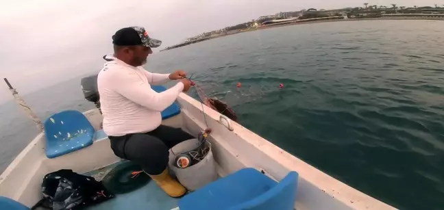 Amatör balıkçı, ağa takılan Caretta Caretta'yı 'gülüm, bir tanem' diyerek kurtardı