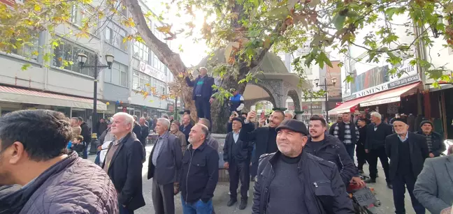 Tokat'ta İş Yerinin Çatısında Akbaba Gözlemlendi