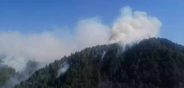 Kahramanmaraş'ta Orman Yangınına Müdahale Devam Ediyor