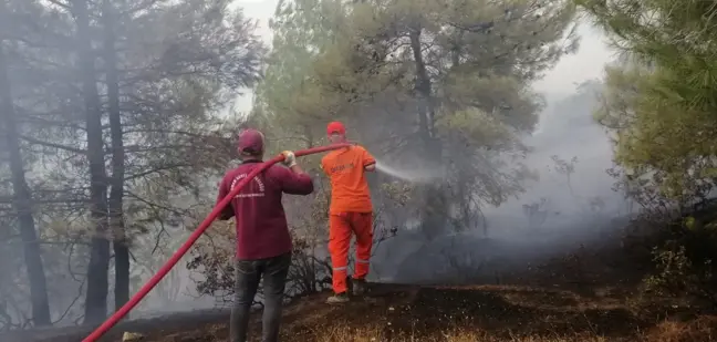 Kahramanmaraş'ta 15 Hektar Orman Yandı