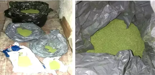 Tokat'ta Uyuşturucu Operasyonu