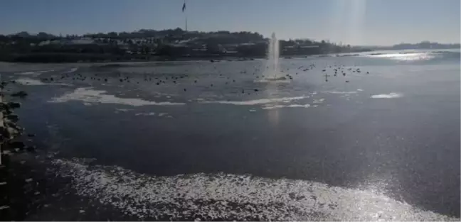 Ankara'da göller ve havuzlar buz tuttu
