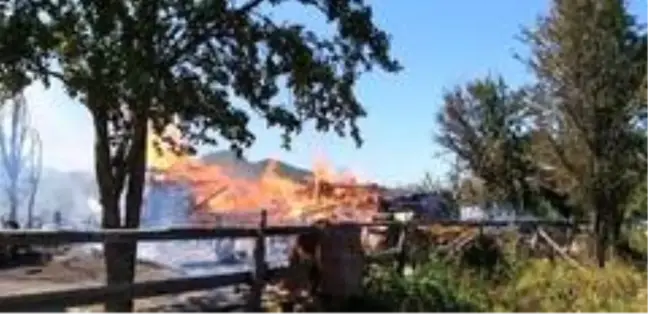 Son dakika! Kastamonu'da çıkan yangında 3 hayvan telef oldu