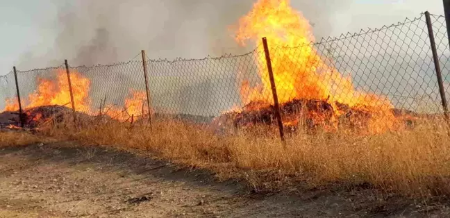 Siirt'te fıstık ve üzüm bahçesinde yangın çıktı
