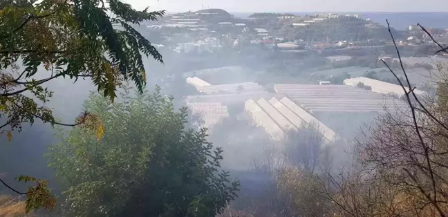 Alanya'da seralara yakın otluk yangını hızlı müdahaleyle söndürüldü