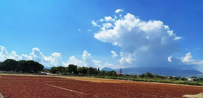 Sağanak Yağış Kuru Üzüm Üretimine Zarar Verdi