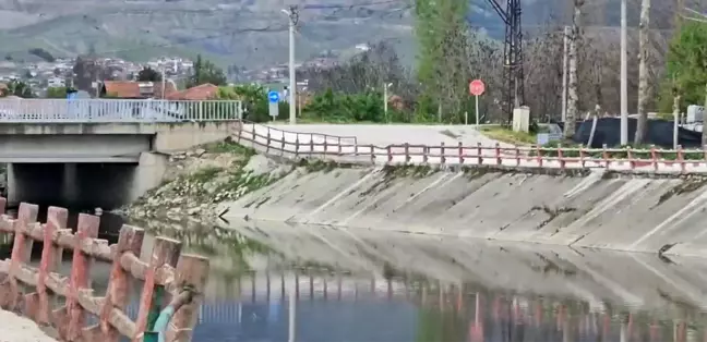 Yeşilırmak'ta Toplu Balık Ölümleri Üzerine İnceleme Başlatıldı