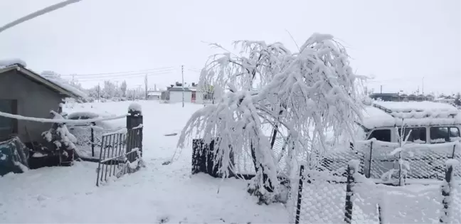 Sivas'ta Nisan Karı