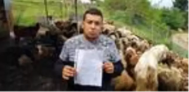 Başıboş köpekler, ahırdaki 32 küçükbaş hayvanı telef etti