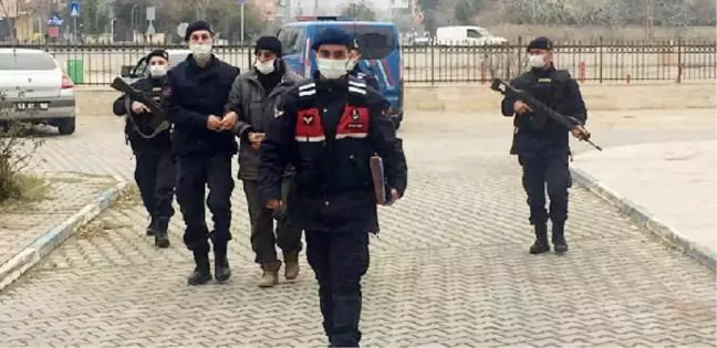 Evinde uyuşturucu maddeler ve 25 kök Hint keneviri ile yakalandı