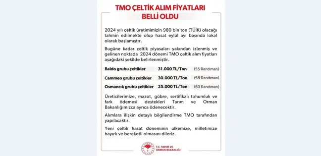 TMO, 2024 dönemi çeltik alım fiyatlarını açıkladı