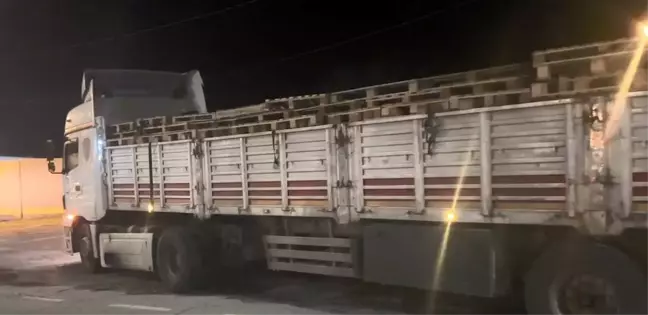 Bitlis'te Düzensiz Göçmen Operasyonu: 42 Göçmen ve 2 Organizör Yakalandı