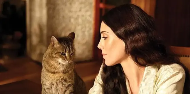 Cansu Dere... EVİNDE YANGIN ÇIKTI!