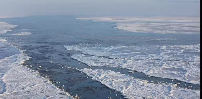 Rusya Barents Denizi'ndeki İş Birliği Anlaşmasını Feshetti