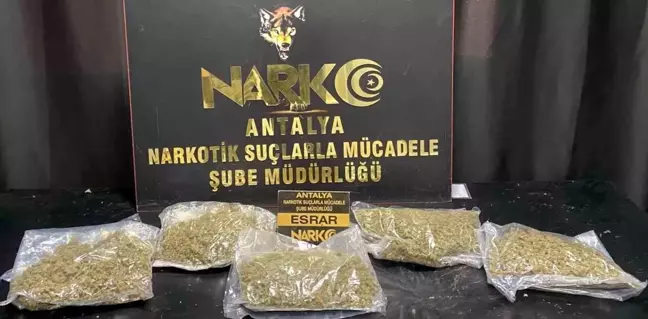 Antalya'da Uyuşturucu Operasyonları: 118 Şüpheli Yakalandı